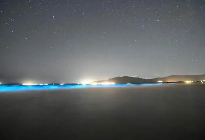 Casa Begona/la Casa Del Timon Апартаменты *